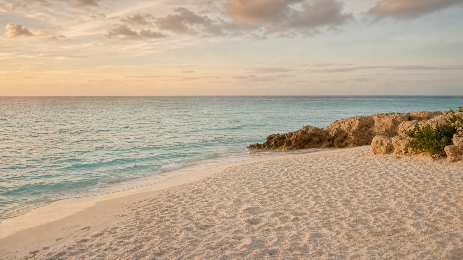 An open shoreline before an event setting is installed